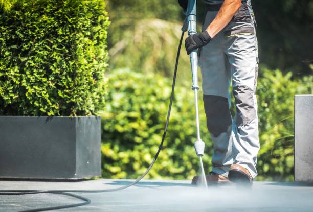 Best Animal Enclosure Cleaning  in Melvindale, MI
